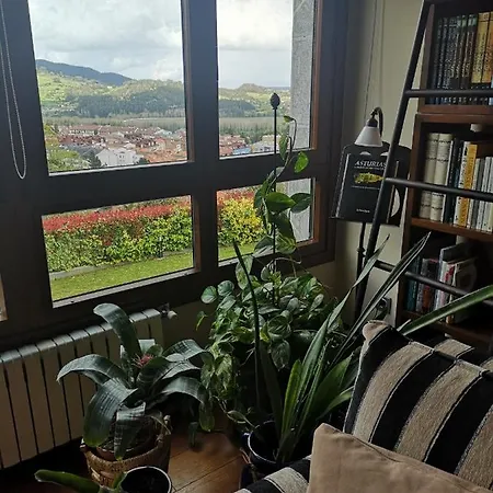 Reina Adosinda פראביה