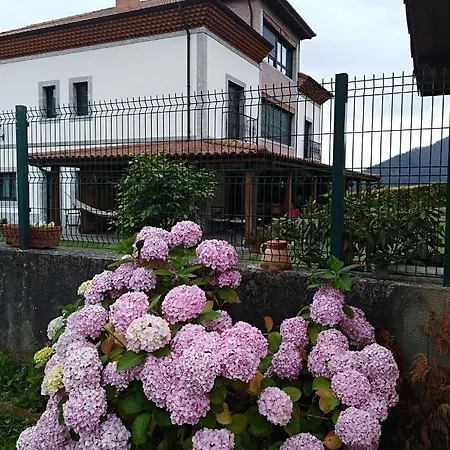 Reina Adosinda Pravia