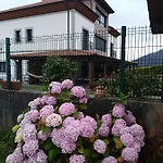 Reina Adosinda Pravia
